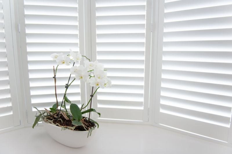 Shutters Installation in Alpharetta, GA